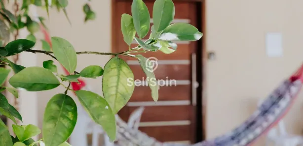 Apartamento com 1 Quarto para alugar, 34m² no Piratininga, Niterói