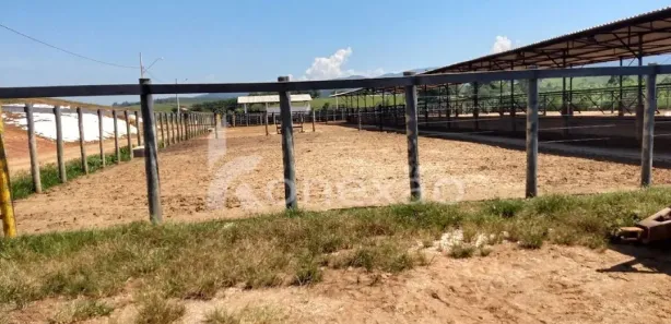 Fazenda / Sítio / Chácara com 2 Quartos à venda, 249m² no Chácara Marambaia, Caçapava