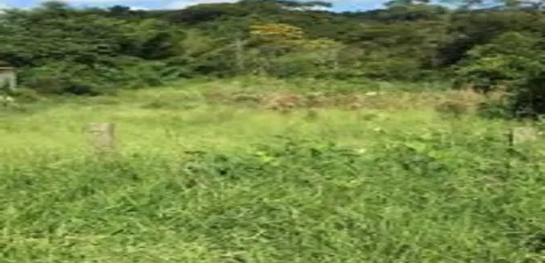 Terreno / Lote / Condomínio à venda, 900m² no Barreiro, Mairiporã