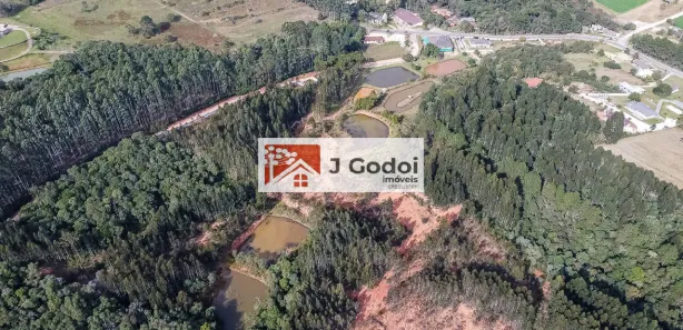 Fazenda / Sítio / Chácara com 6 Quartos à venda, 1000m² no Santa Gema, Colombo