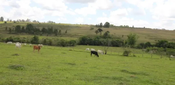 Fazenda / Sítio / Chácara à venda, 450000m² no Brazlândia, Brasília