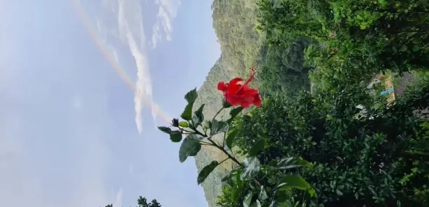 Fazenda / Sítio / Chácara com 7 Quartos à venda, 5500m² no Corujas, Guapimirim