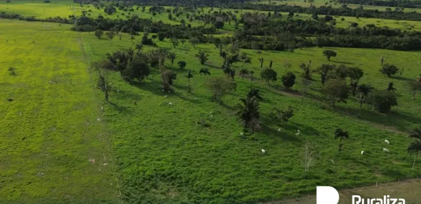 Fazenda / Sítio / Chácara à venda, 1306m² no , Arapoema