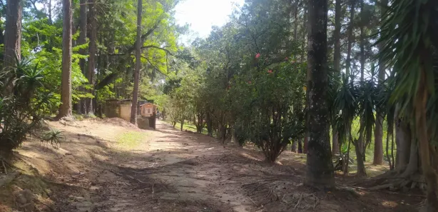 Fazenda / Sítio / Chácara com 5 Quartos à venda, 200m² no Dona Catarina, Mairinque