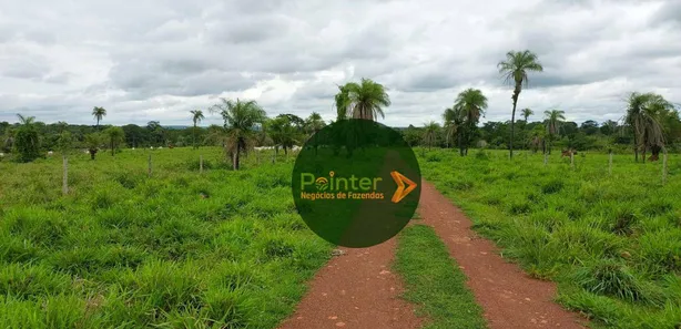 Fazenda / Sítio / Chácara com 3 Quartos à venda, 25748800m² no Parque Residencial Nova Fronteira, Gurupi