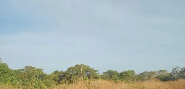 Terreno / Lote / Condomínio para alugar, 40000m² no PEDRA, Eusébio