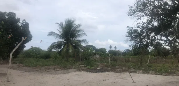 Fazenda / Sítio / Chácara com 3 Quartos à venda, 5500m² no , Vera Cruz