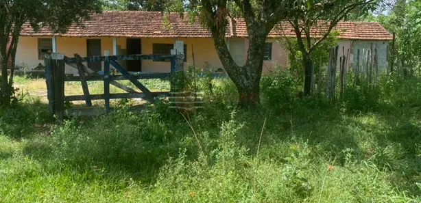 Fazenda / Sítio / Chácara com 1 Quarto à venda, 24200m² no Vila Menino Jesus, Caçapava