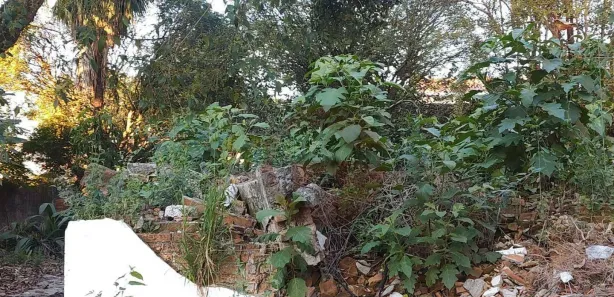 Terreno / Lote / Condomínio para venda ou aluguel, 660m² no Vila Morse, São Paulo