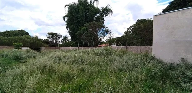 Fazenda / Sítio / Chácara com 2 Quartos à venda, 200m² no Chácara Flora Araraquara, Araraquara