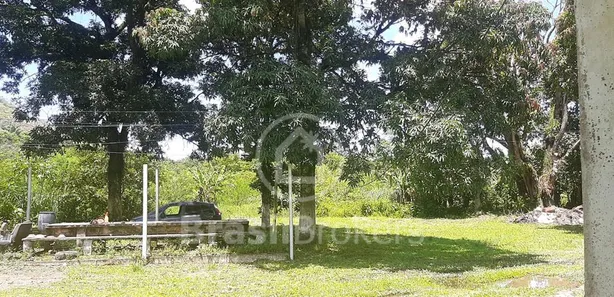 Fazenda / Sítio / Chácara com 8 Quartos à venda, 300m² no Taquara, Duque de Caxias