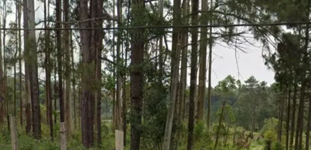 Terreno / Lote / Condomínio à venda, 543301m² no , Embu-Guaçu