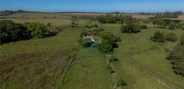 Fazenda / Sítio / Chácara à venda, 10000m² no Boca do Monte, Santa Maria