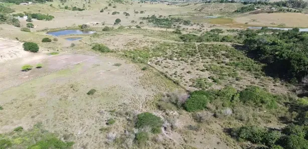 Fazenda / Sítio / Chácara à venda, 140000m² no , Sairé