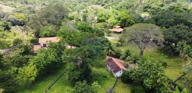 Fazenda / Sítio / Chácara à venda, 114000m² no Jardim Recreio, Conde