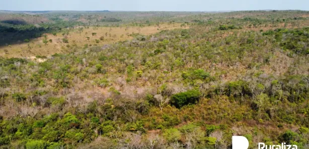 Fazenda / Sítio / Chácara à venda, 571m² no , Rio Sono