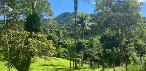 Fazenda / Sítio / Chácara com 4 Quartos à venda, 360000m² no Monumento, Piraí