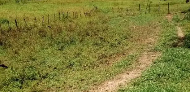 Fazenda / Sítio / Chácara à venda, 12900000m² no , São José da Laje