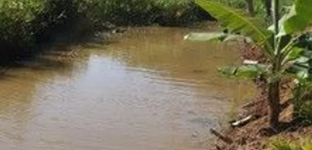 Terreno / Lote / Condomínio à venda, 12000m² no Coqueiros de Monte Gordo (Monte Gordo), Camaçari