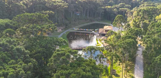 Fazenda / Sítio / Chácara à venda, 26000m² no Centro, Campina Grande do Sul