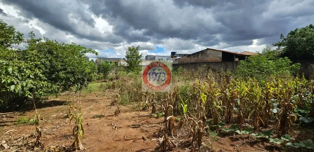 Terreno / Lote Comercial para alugar, 800m² no Setor Habitacional Vicente Pires - Trecho 3, Brasília