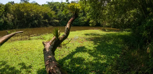 Terreno / Lote / Condomínio à venda, 2247m² no Embu Colonial, Embu das Artes