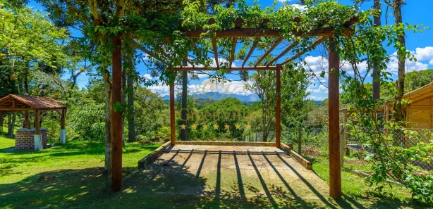 Fazenda / Sítio / Chácara com 2 Quartos à venda, 15000m² no Palmitalzinho, Quatro Barras