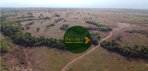 Fazenda / Sítio / Chácara à venda, 19166400m² no , Lagoa da Confusão