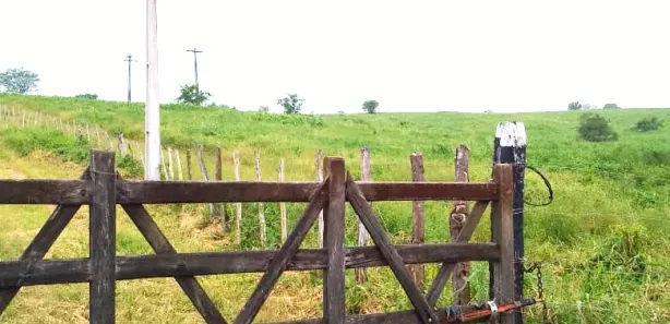 Fazenda / Sítio / Chácara com 3 Quartos à venda, 350000m² no , Passira