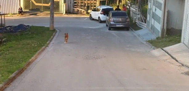 Imagem do imóvel