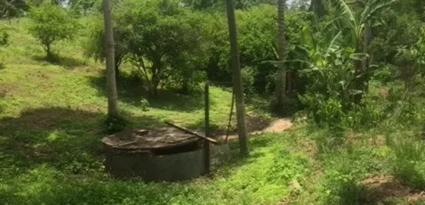 Fazenda / Sítio / Chácara com 4 Quartos à venda, 120000m² no , Aliança