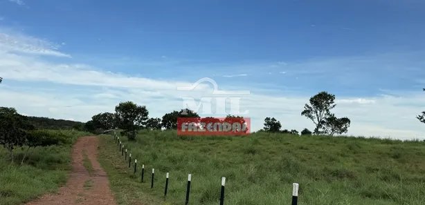 Fazenda / Sítio / Chácara com 3 Quartos à venda, 500m² no Setor Central, Gurupi