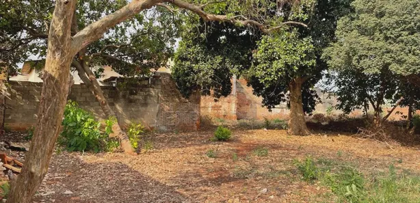 Loja / Salão / Ponto Comercial com 3 Quartos à venda, 269m² no Centro, Sertãozinho