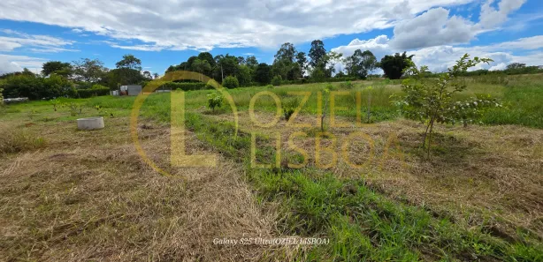 Fazenda / Sítio / Chácara com 3 Quartos à venda, 20000m² no Brazlândia, Brasília