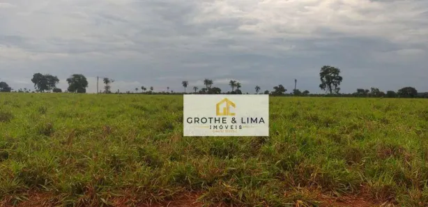 Fazenda / Sítio / Chácara à venda, 900m² no Centro, Pium