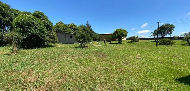 Terreno / Lote / Condomínio à venda, 3000m² no São Luiz do Purunã, Balsa Nova