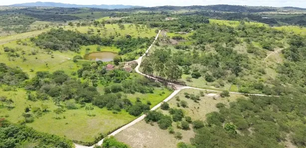 Fazenda / Sítio / Chácara com 3 Quartos à venda, 120000m² no , Sairé