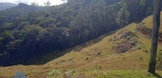 Terreno / Lote / Condomínio à venda, 20004m² no Centro, São Pedro de Alcântara