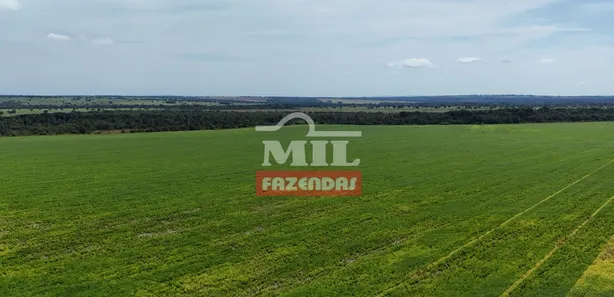 Fazenda / Sítio / Chácara à venda, 500m² no , Pium