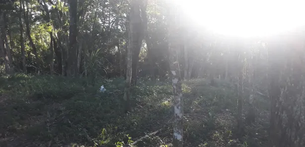 Terreno / Lote / Condomínio à venda, 1000m² no Ortizes, Piedade