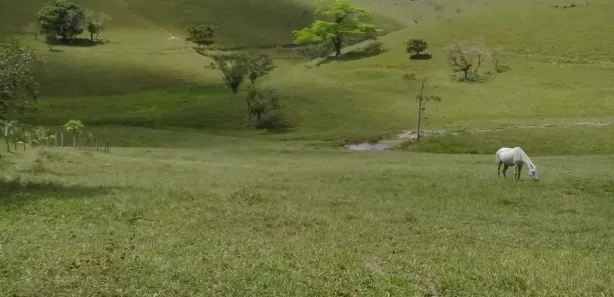 Fazenda / Sítio / Chácara à venda, 950000m² no , Joaquim Gomes