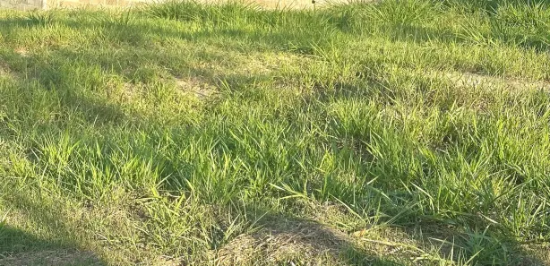 Terreno / Lote / Condomínio à venda, 250m² no Chácara Pipeiro, Capivari
