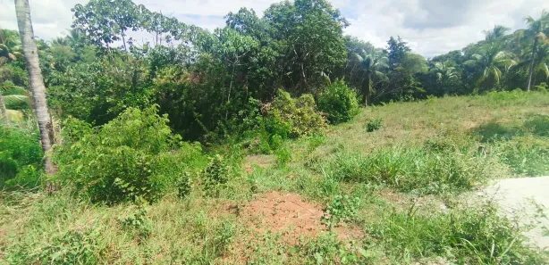 Terreno / Lote / Condomínio à venda, 500m² no Barra do Pojuca (Monte Gordo), Camaçari