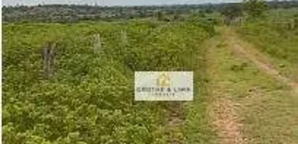 Fazenda / Sítio / Chácara com 8 Quartos à venda, 600m² no São José, Formoso do Araguaia