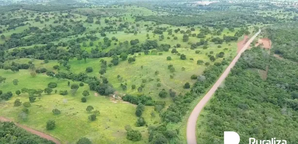 Fazenda / Sítio / Chácara à venda, 91m² no , Guaraí