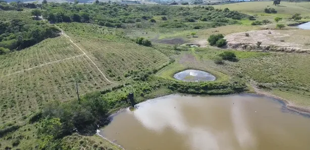 Fazenda / Sítio / Chácara à venda, 140000m² no , Sairé