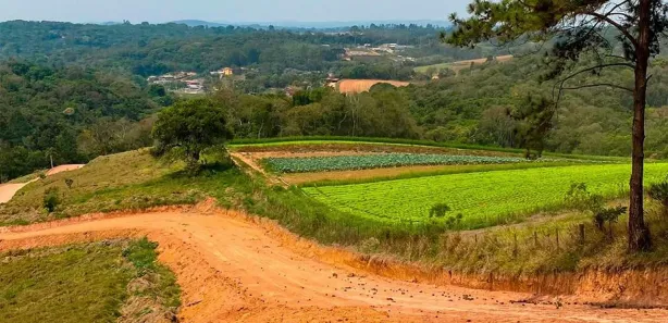 Casa de Condomínio com 1 Quarto à venda, 500m² no Recreio, Ibiúna