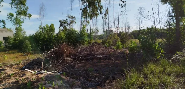 Terreno / Lote / Condomínio à venda, 600m² no , Prado