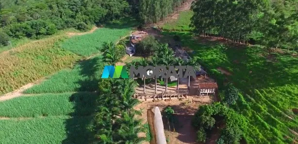 Fazenda / Sítio / Chácara com 4 Quartos à venda, 53m² no Centro, Viçosa