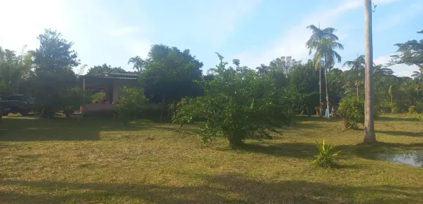 Fazenda / Sítio / Chácara com 3 Quartos à venda, 5085m² no Gaivota, Itanhaém